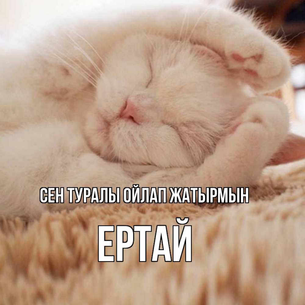 Күн сайын ашық хат с именем, Ертай Сен туралы ойлап жатырмын для любимой девушки милота Онлайн тегін жүктеп алу тілектері бар керемет карта 