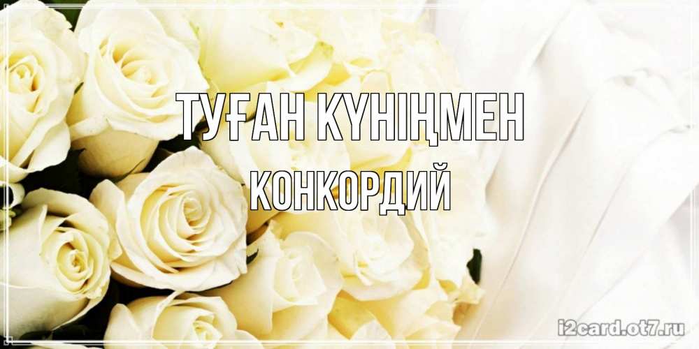 Күн сайын ашық хат с именем, Конкордий Туған күніңмен белые розы в букете Онлайн тегін жүктеп алу тілектері бар керемет карта 