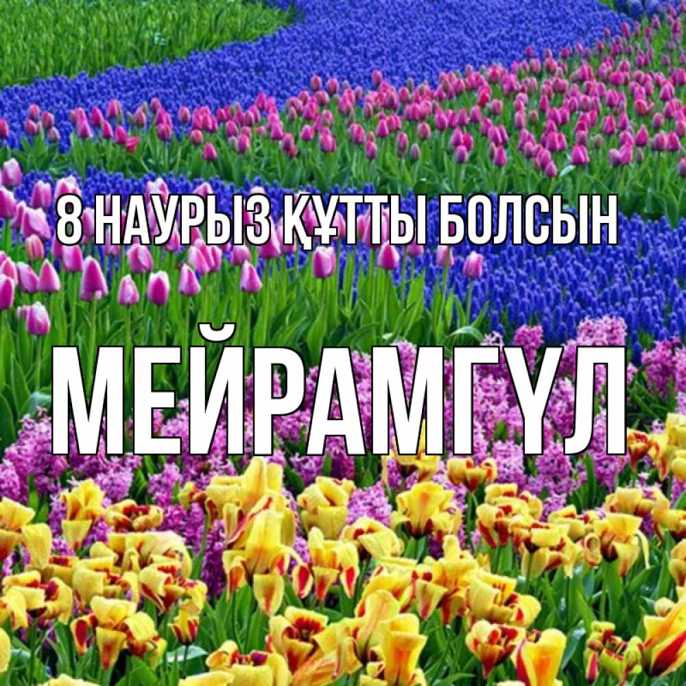 Күн сайын ашық хат с именем, МЕЙРАМГҮЛ 8 наурыз құтты болсын цветы Онлайн тегін жүктеп алу тілектері бар керемет карта 