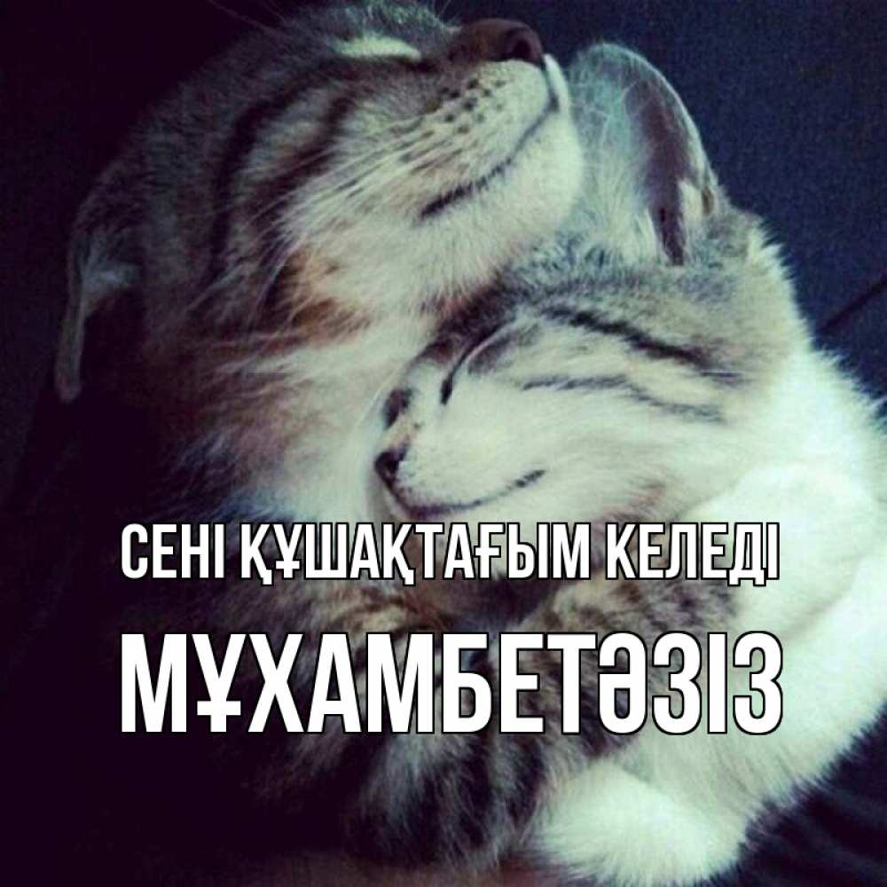 Күн сайын ашық хат с именем, МҰХАМБЕТӘЗІЗ сені құшақтағым келеді полосатики Онлайн тегін жүктеп алу тілектері бар керемет карта 