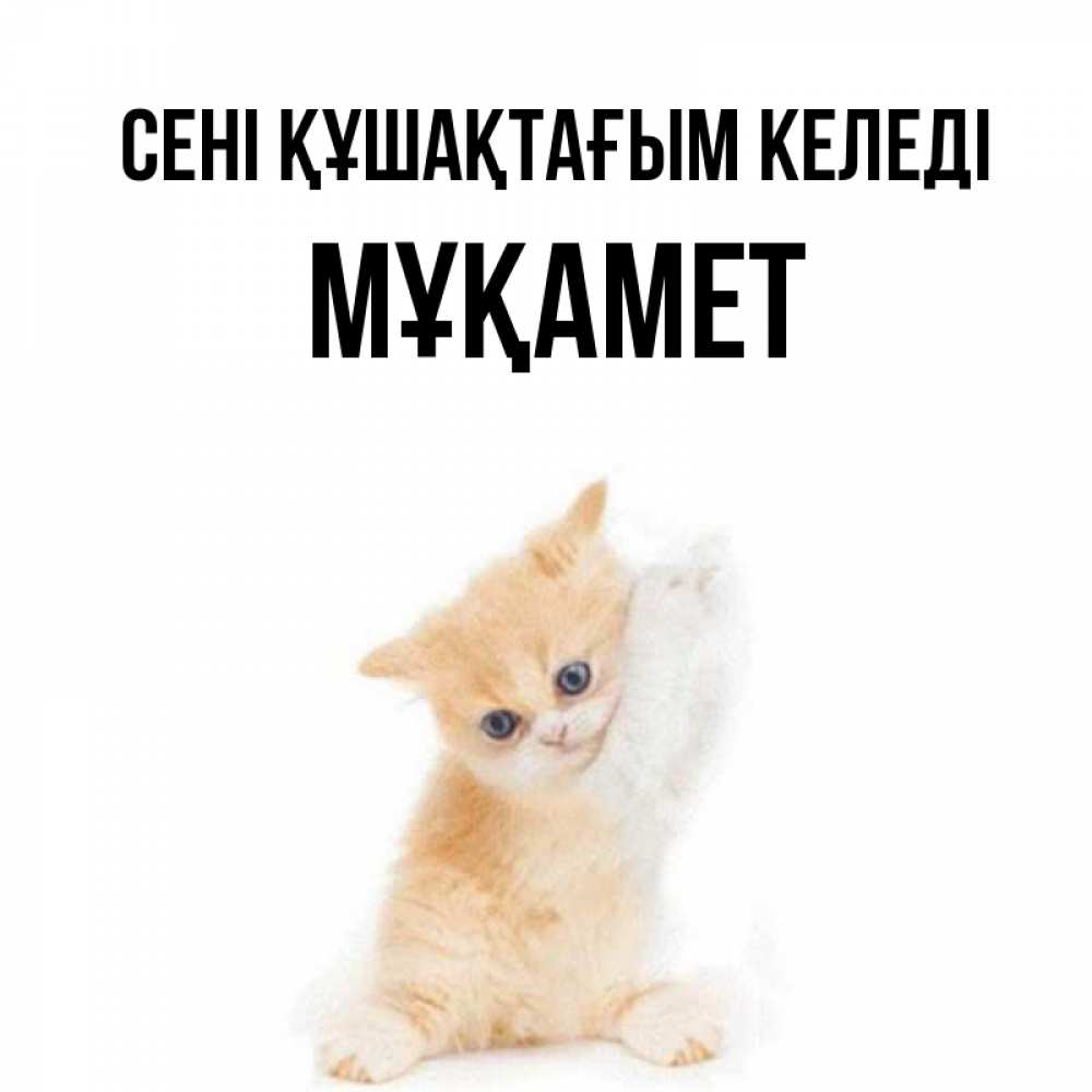 Күн сайын ашық хат с именем, МҰҚАМЕТ сені құшақтағым келеді я хочу очень скорее обнимаешек Онлайн тегін жүктеп алу тілектері бар керемет карта 