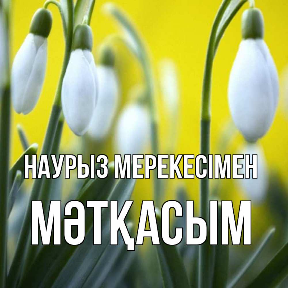 Күн сайын ашық хат с именем, МӘТҚАСЫМ Наурыз мерекесімен весенние цветы Онлайн тегін жүктеп алу тілектері бар керемет карта 