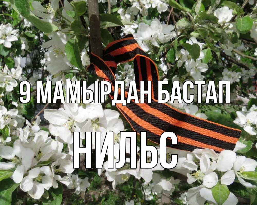 Күн сайын ашық хат с именем, Нильс 9 мамырдан бастап 9 мая Онлайн тегін жүктеп алу тілектері бар керемет карта 