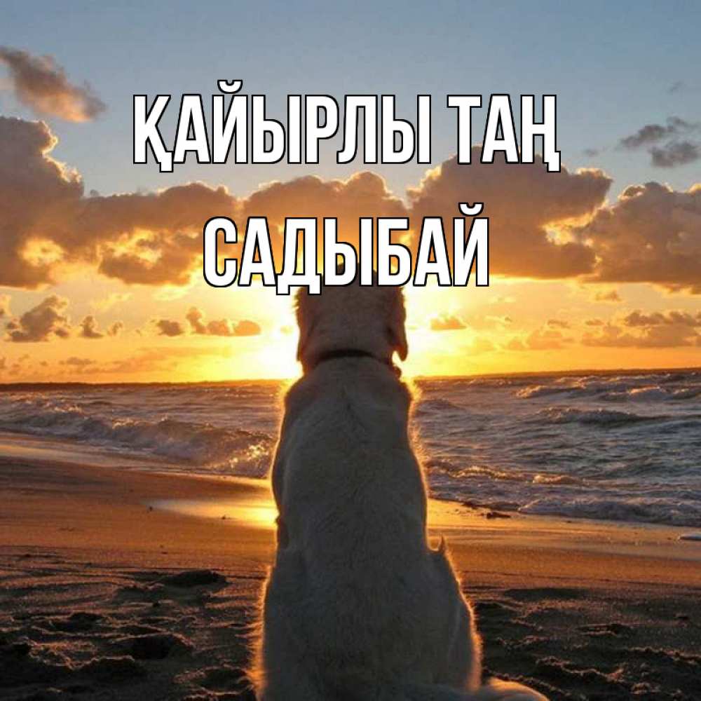 Күн сайын ашық хат с именем, САДЫБАЙ Қайырлы таң восход солнца Онлайн тегін жүктеп алу тілектері бар керемет карта 