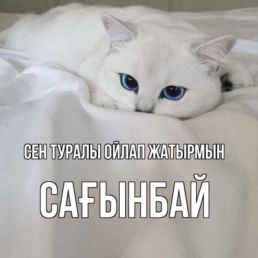 Күн сайын ашық хат с именем, Сағынбай Сен туралы ойлап жатырмын я очень по тебе скучаю и тоскую Онлайн тегін жүктеп алу тілектері бар керемет карта 