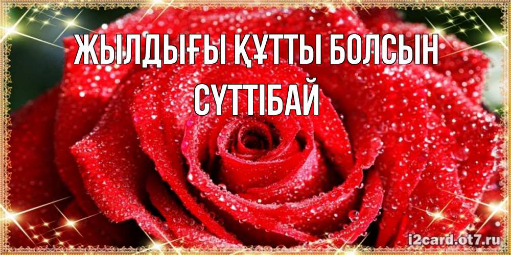 Күн сайын ашық хат с именем, СҮТТІБАЙ Жылдығы құтты болсын роса и роза. открытка с красивой розой Онлайн тегін жүктеп алу тілектері бар керемет карта 