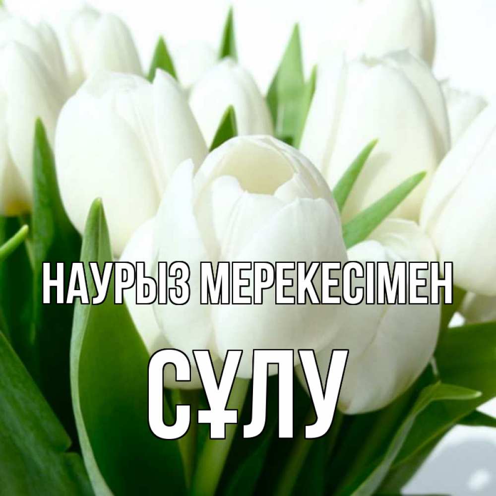 Күн сайын ашық хат с именем, СҰЛУ Наурыз мерекесімен цветы Онлайн тегін жүктеп алу тілектері бар керемет карта 