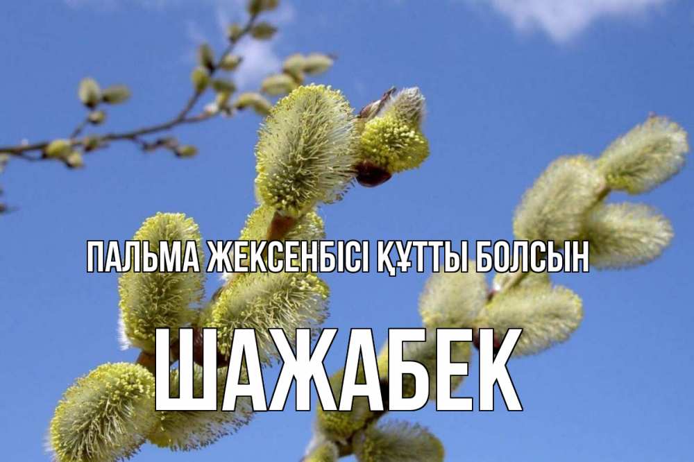 Күн сайын ашық хат с именем, ШАЖАБЕК Пальма жексенбісі құтты болсын верба Онлайн тегін жүктеп алу тілектері бар керемет карта 