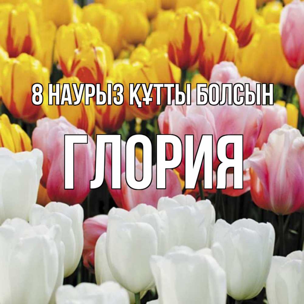 Күн сайын ашық хат с именем, Глория 8 наурыз құтты болсын разноцветные цветы Онлайн тегін жүктеп алу тілектері бар керемет карта 