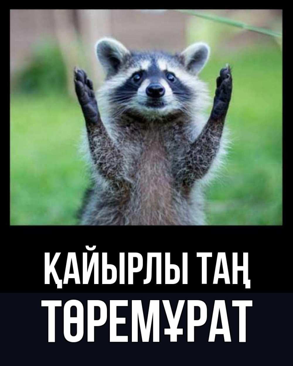 Күн сайын ашық хат с именем, Төремұрат Қайырлы таң хорошее настроение утречком Онлайн тегін жүктеп алу тілектері бар керемет карта 