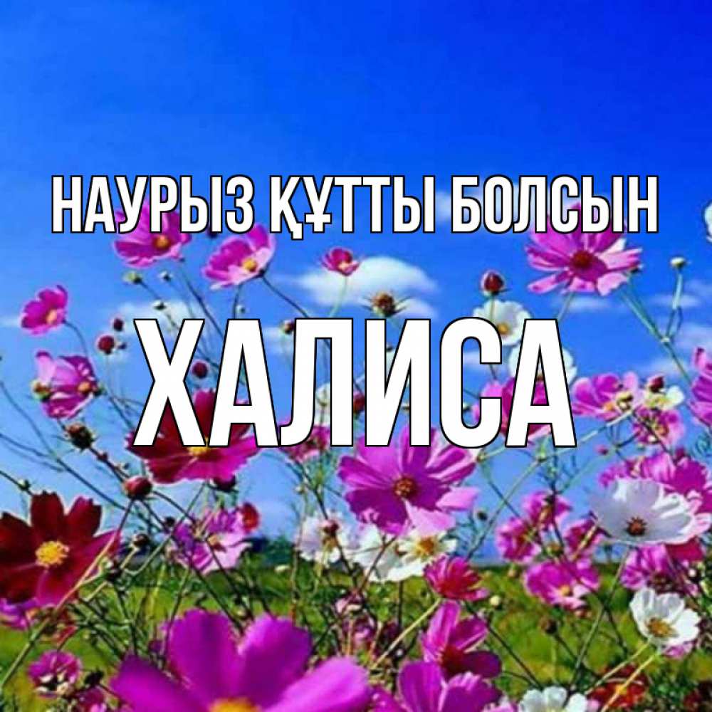 Күн сайын ашық хат с именем, ХАЛИСА Наурыз құтты болсын цветы Онлайн тегін жүктеп алу тілектері бар керемет карта 