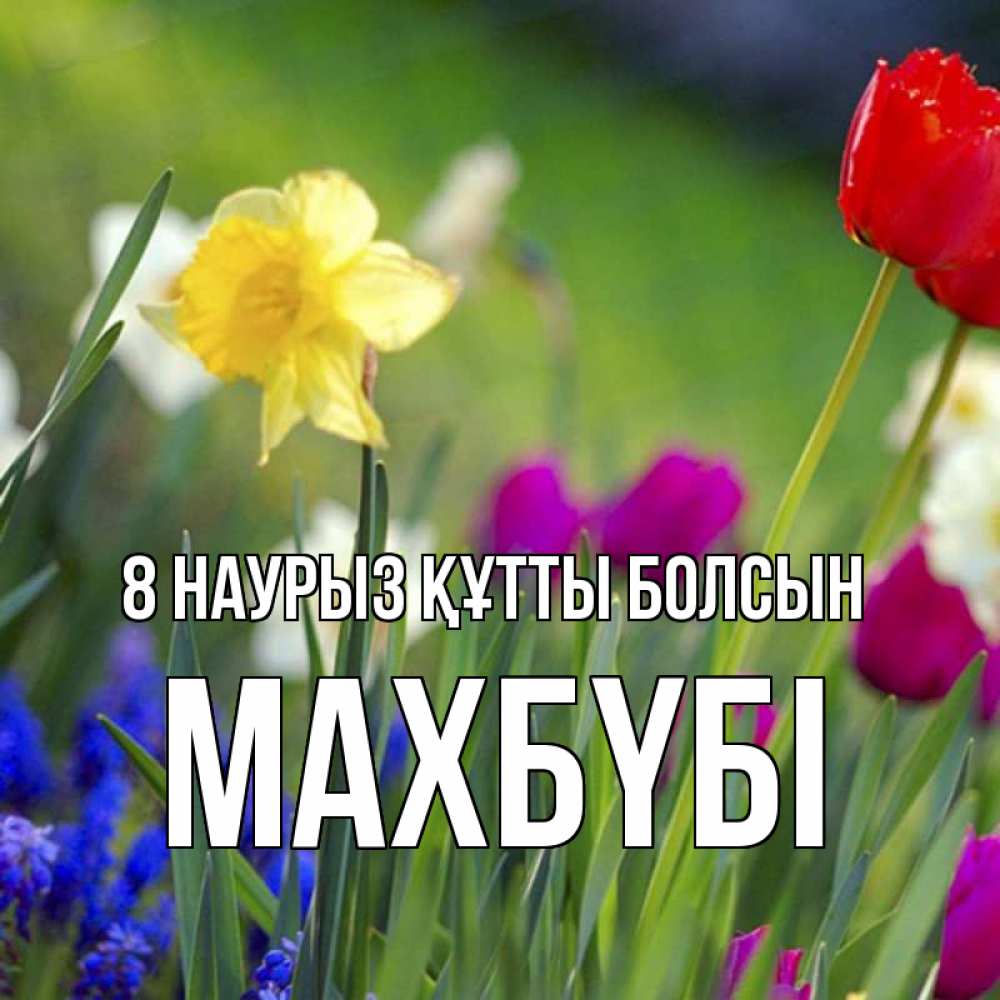 Күн сайын ашық хат с именем, МАХБҮБІ 8 наурыз құтты болсын международный женский день 3 Онлайн тегін жүктеп алу тілектері бар керемет карта 