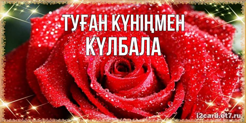 Күн сайын ашық хат с именем, Күлбала Туған күніңмен роса и роза. открытка с красивой розой Онлайн тегін жүктеп алу тілектері бар керемет карта 