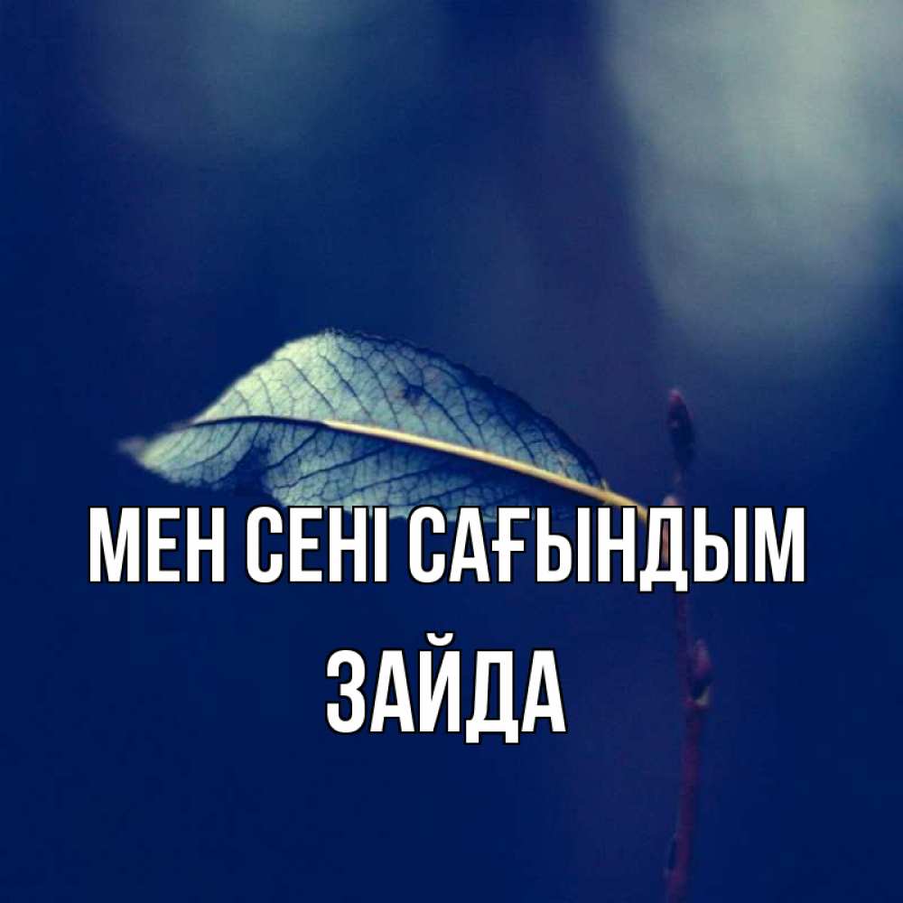 Күн сайын ашық хат с именем, ЗАЙДА Мен сені сағындым одна ветка 1 Онлайн тегін жүктеп алу тілектері бар керемет карта 