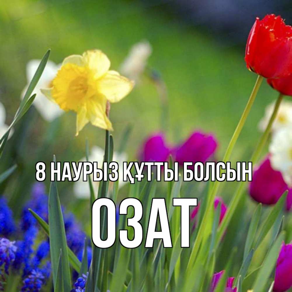 Күн сайын ашық хат с именем, ОЗАТ 8 наурыз құтты болсын международный женский день 3 Онлайн тегін жүктеп алу тілектері бар керемет карта 