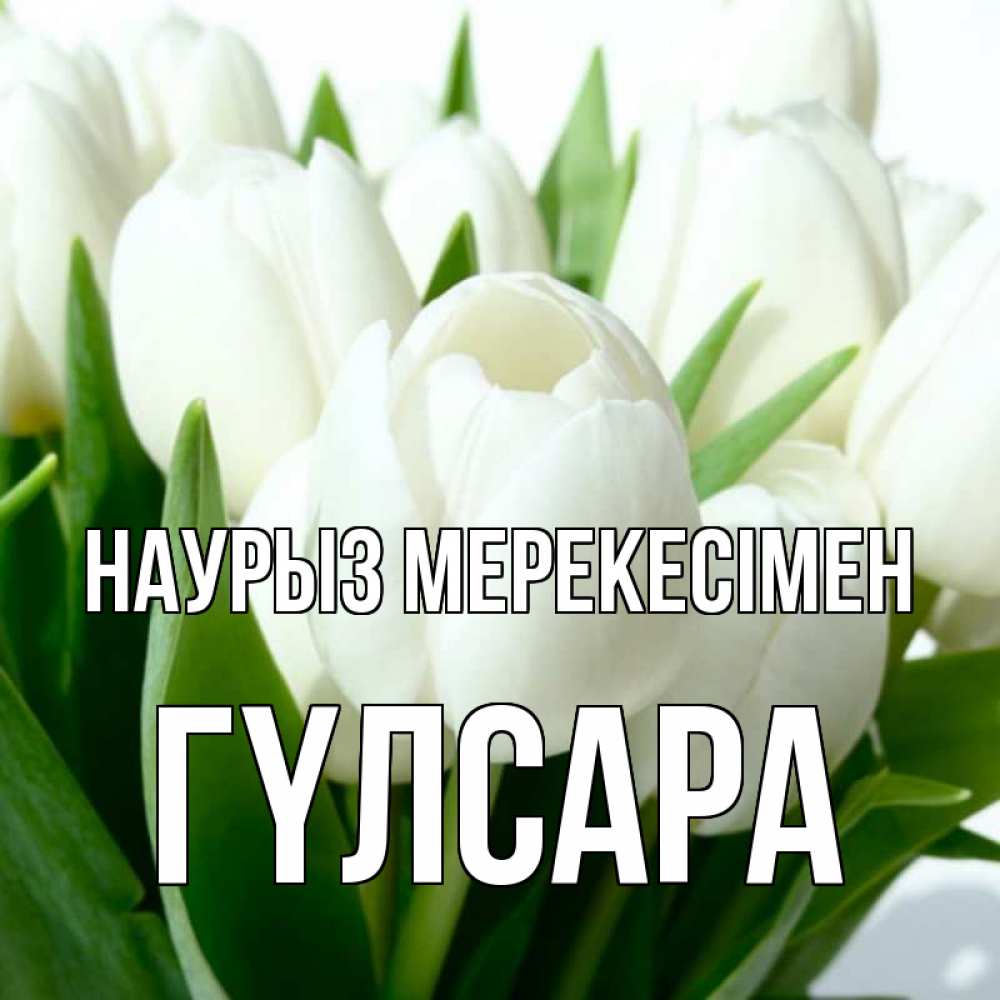 Күн сайын ашық хат с именем, ГҮЛСАРА Наурыз мерекесімен цветы Онлайн тегін жүктеп алу тілектері бар керемет карта 