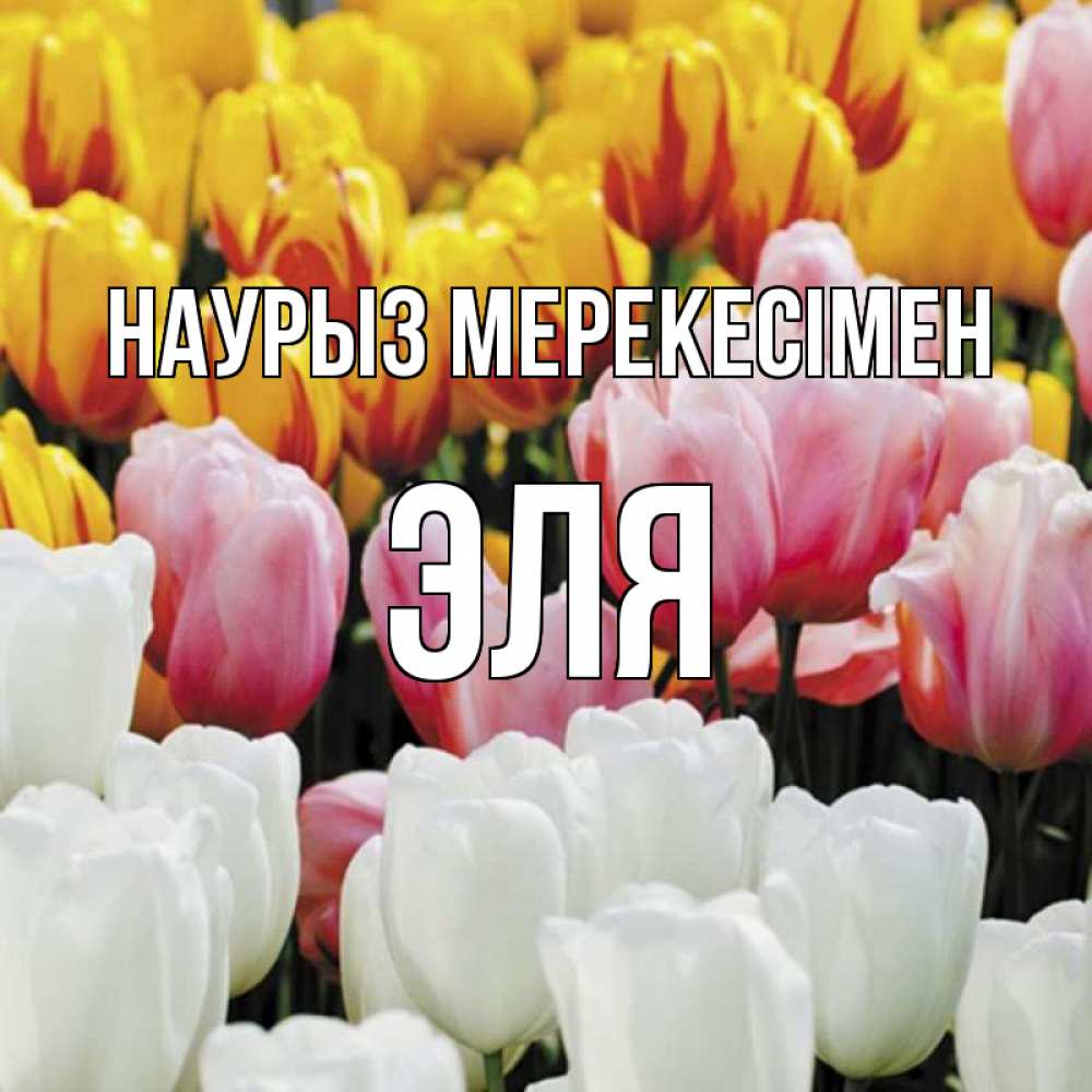 Күн сайын ашық хат с именем, Эля Наурыз мерекесімен разноцветные цветы Онлайн тегін жүктеп алу тілектері бар керемет карта 