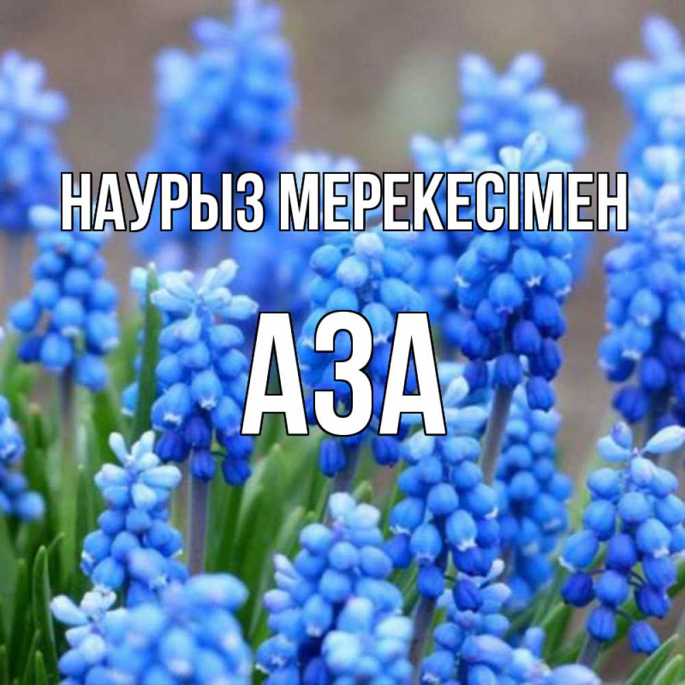 Күн сайын ашық хат с именем, АЗА Наурыз мерекесімен Поздравительная открытка для женщин с цветами на праздничную дату Онлайн тегін жүктеп алу тілектері бар керемет карта 