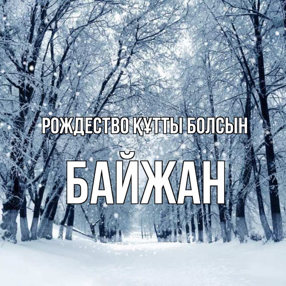 Күн сайын ашық хат с именем, Байжан Рождество құтты болсын снег, лес, парк Онлайн тегін жүктеп алу тілектері бар керемет карта 