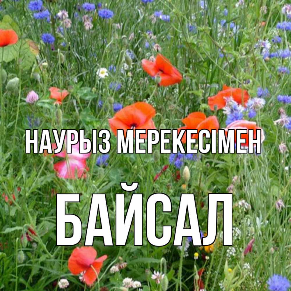 Күн сайын ашық хат с именем, Байсал Наурыз мерекесімен праздник весны наурыз супер открытка Онлайн тегін жүктеп алу тілектері бар керемет карта 