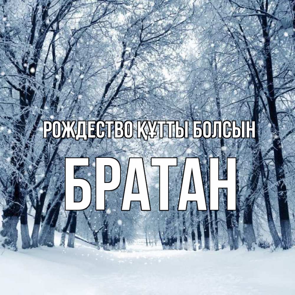 Күн сайын ашық хат с именем, Братан Рождество құтты болсын снег, лес, парк Онлайн тегін жүктеп алу тілектері бар керемет карта 