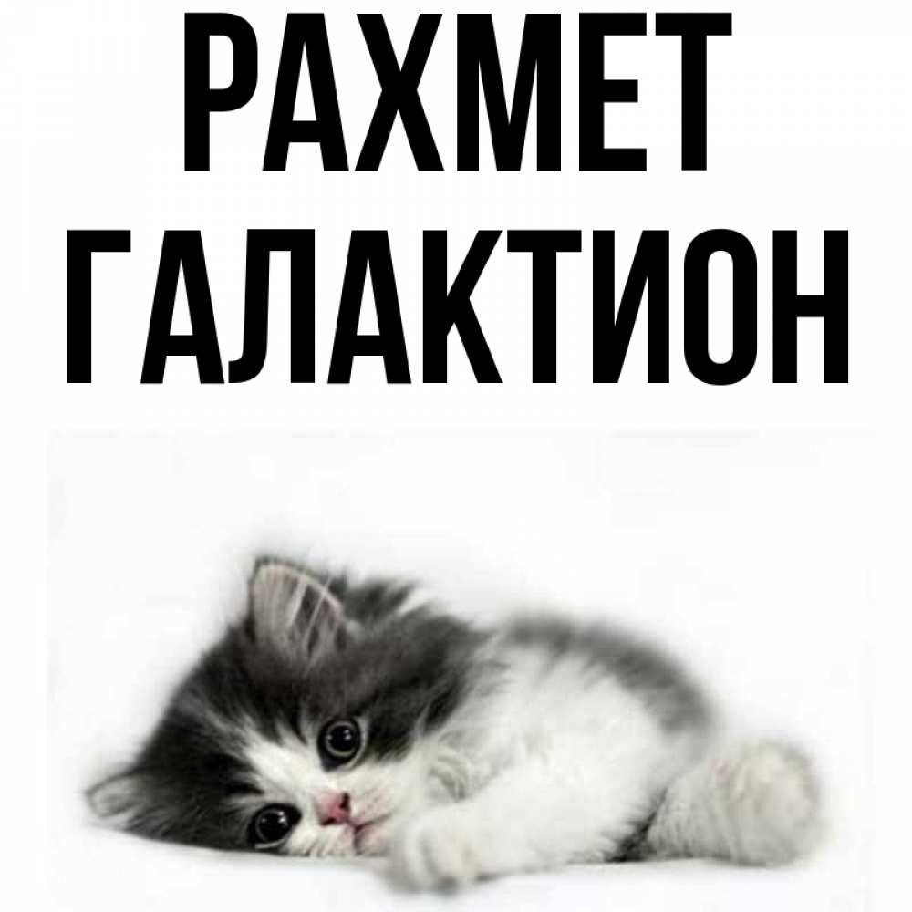 Күн сайын ашық хат с именем, Галактион рахмет черный и белый кот Онлайн тегін жүктеп алу тілектері бар керемет карта 