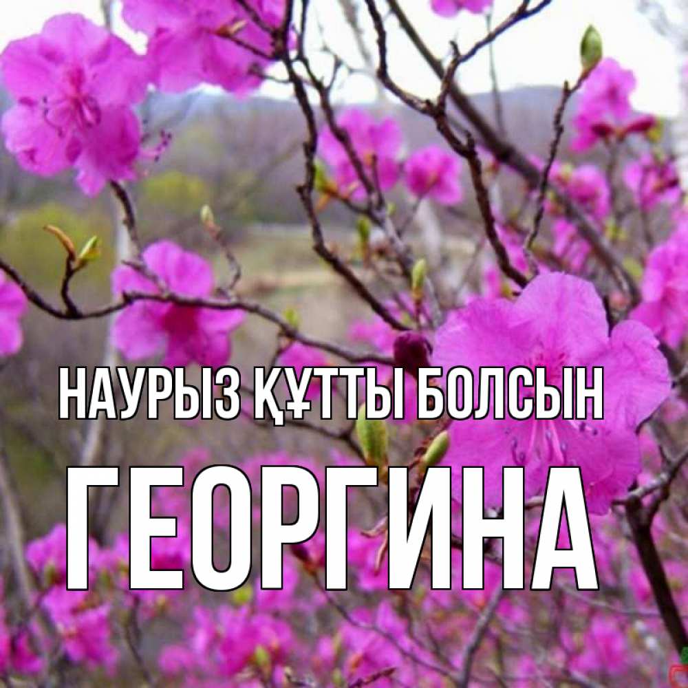 Күн сайын ашық хат с именем, Георгина Наурыз құтты болсын наурыз мейрамы кутты болсын Онлайн тегін жүктеп алу тілектері бар керемет карта 