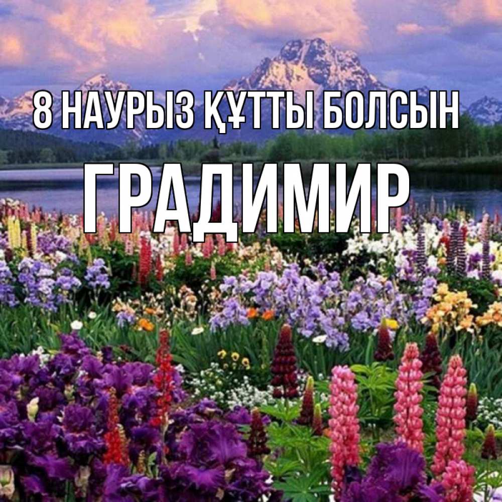Күн сайын ашық хат с именем, Градимир 8 наурыз құтты болсын международный женский день Онлайн тегін жүктеп алу тілектері бар керемет карта 