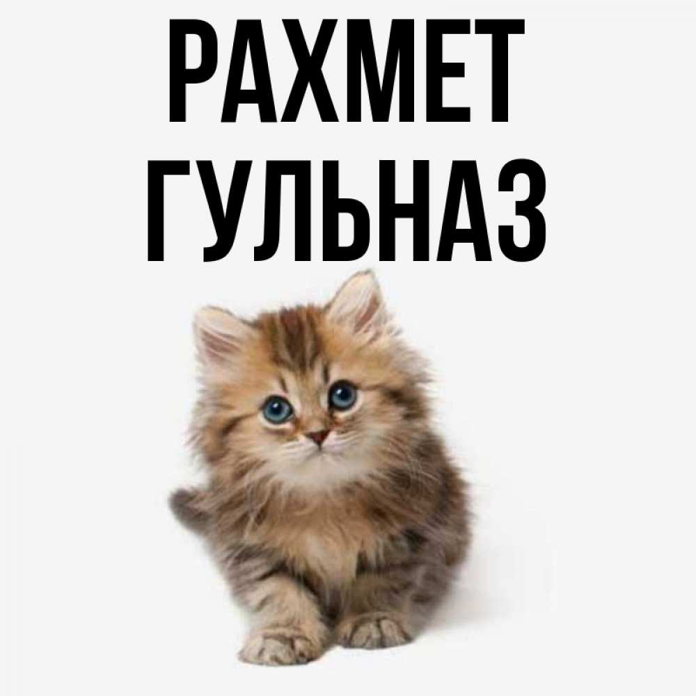 Күн сайын ашық хат с именем, Гульназ рахмет пушистый котик Онлайн тегін жүктеп алу тілектері бар керемет карта 