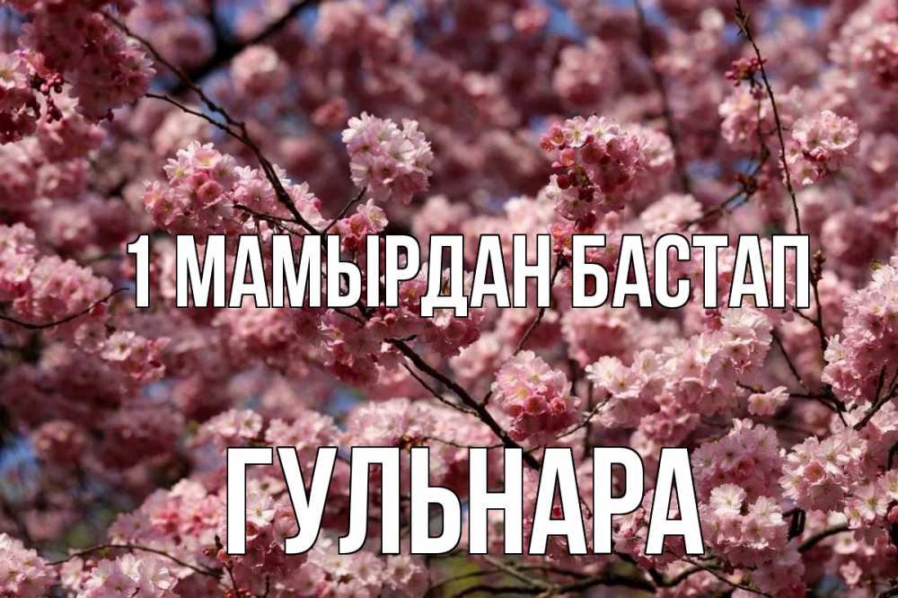 Күн сайын ашық хат с именем, Гульнара 1 мамырдан бастап С 1 мая Онлайн тегін жүктеп алу тілектері бар керемет карта 