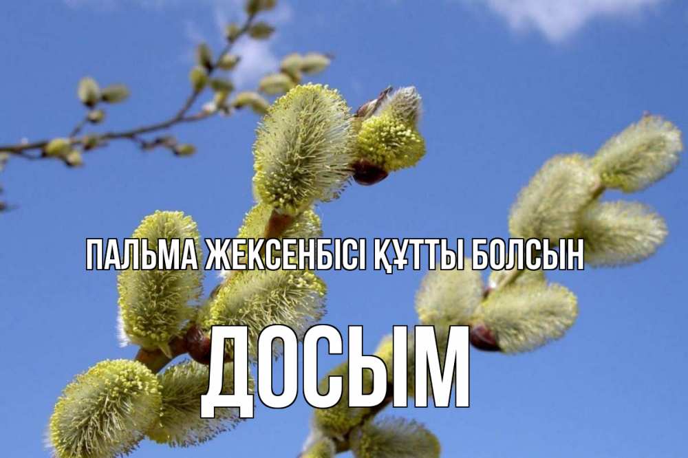 Күн сайын ашық хат с именем, Досым Пальма жексенбісі құтты болсын верба Онлайн тегін жүктеп алу тілектері бар керемет карта 
