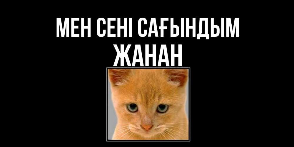 Күн сайын ашық хат с именем, ЖАНАН Мен сені сағындым открытки рыжий котенок скучает по тебе Онлайн тегін жүктеп алу тілектері бар керемет карта 