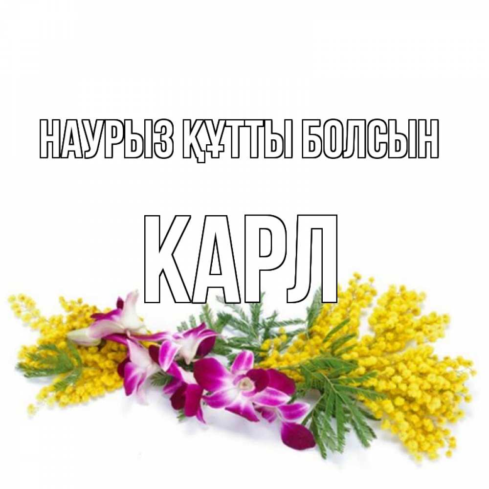 Күн сайын ашық хат с именем, Карл Наурыз құтты болсын открытка  наурыз с цветами  1 Онлайн тегін жүктеп алу тілектері бар керемет карта 