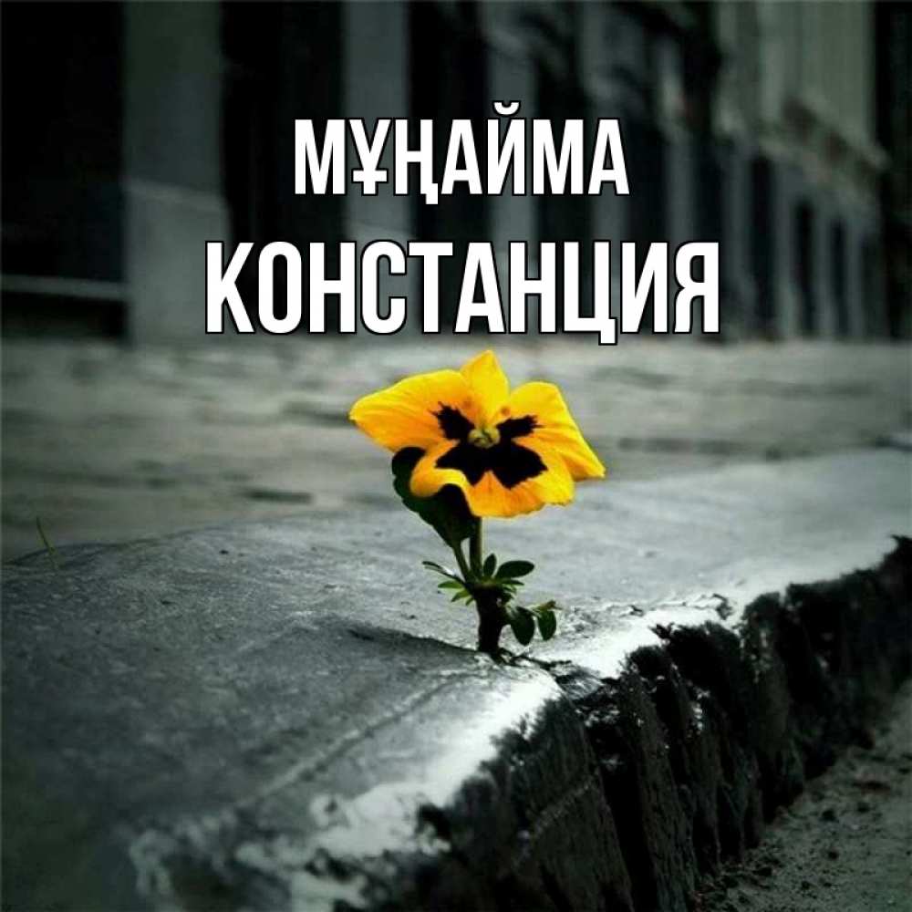 Күн сайын ашық хат с именем, Констанция Мұңайма не сдавайся Онлайн тегін жүктеп алу тілектері бар керемет карта 