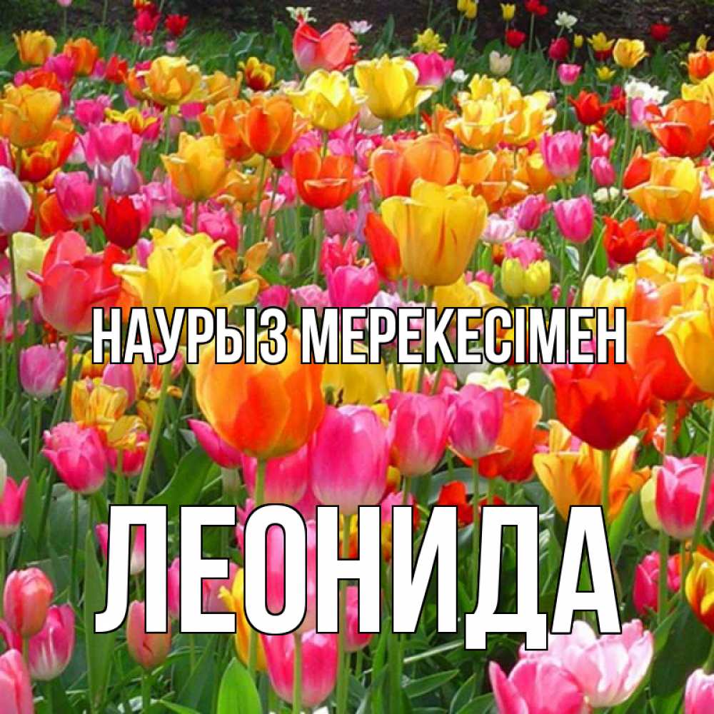 Күн сайын ашық хат с именем, Леонида Наурыз мерекесімен праздник весны наурыз 4 Онлайн тегін жүктеп алу тілектері бар керемет карта 