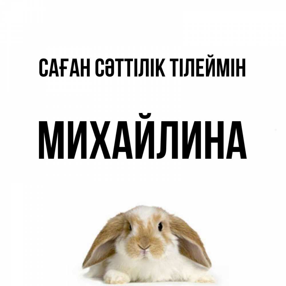 Күн сайын ашық хат с именем, Михайлина Саған сәттілік тілеймін открытки с произвольным текстом который можно вставить в открытку и создать ее самостоятельно бесплатно онлайн Онлайн тегін жүктеп алу тілектері бар керемет карта 