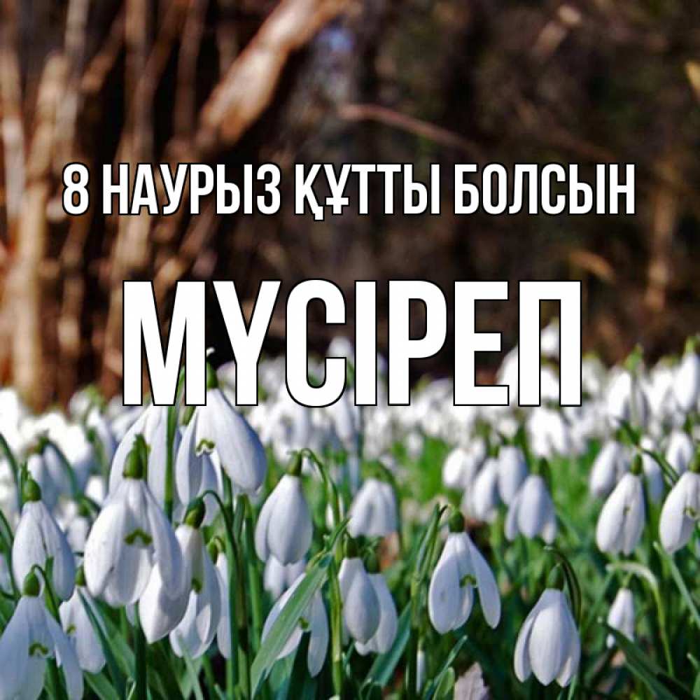 Күн сайын ашық хат с именем, МҮСІРЕП 8 наурыз құтты болсын с подснежниками 1 Онлайн тегін жүктеп алу тілектері бар керемет карта 