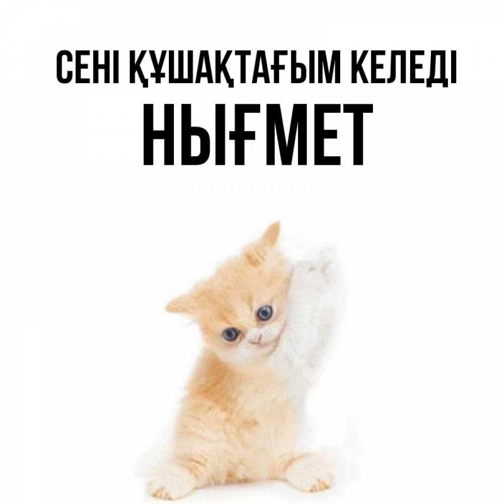 Күн сайын ашық хат с именем, НЫҒМЕТ сені құшақтағым келеді я хочу очень скорее обнимаешек Онлайн тегін жүктеп алу тілектері бар керемет карта 