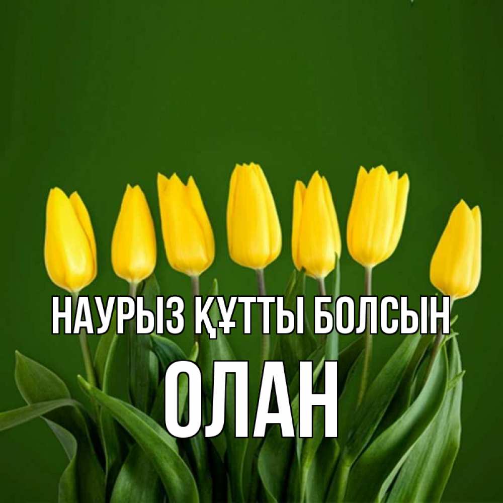 Күн сайын ашық хат с именем, Олан Наурыз құтты болсын желтого цвета 3 Онлайн тегін жүктеп алу тілектері бар керемет карта 