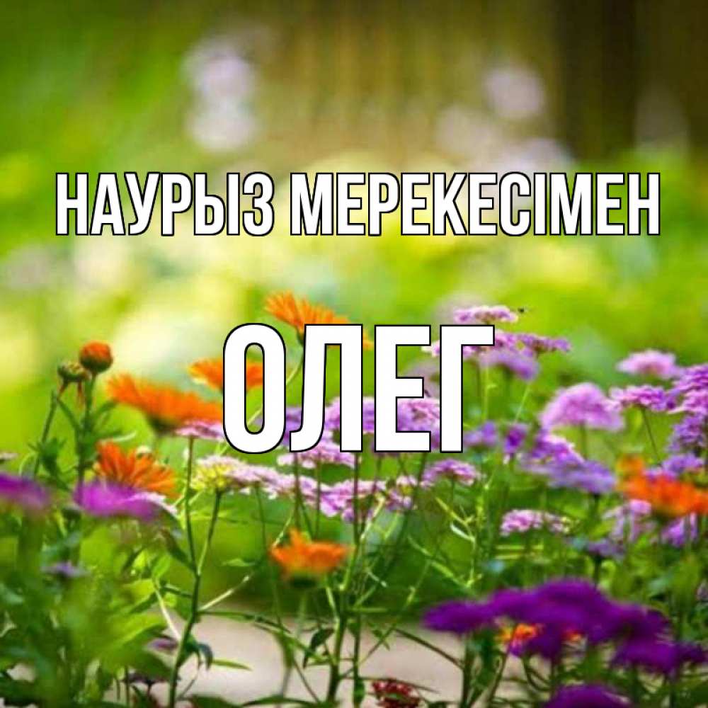 Күн сайын ашық хат с именем, Олег Наурыз мерекесімен цветы Онлайн тегін жүктеп алу тілектері бар керемет карта 