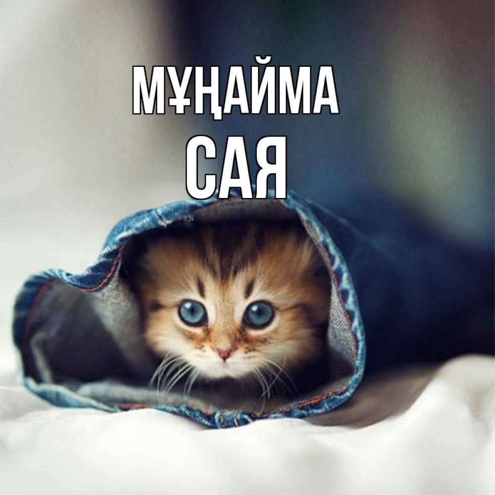 Күн сайын ашық хат с именем, САЯ Мұңайма рыжик котик Онлайн тегін жүктеп алу тілектері бар керемет карта 