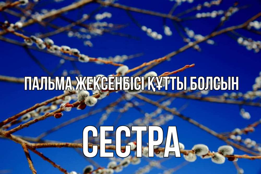 Күн сайын ашық хат с именем, Сестра Пальма жексенбісі құтты болсын верба Онлайн тегін жүктеп алу тілектері бар керемет карта 