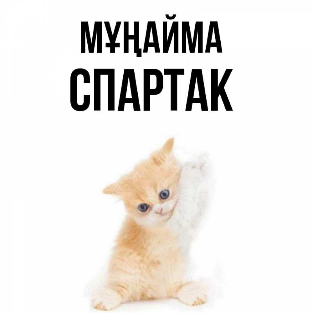 Күн сайын ашық хат с именем, Спартак Мұңайма просящий кот Онлайн тегін жүктеп алу тілектері бар керемет карта 