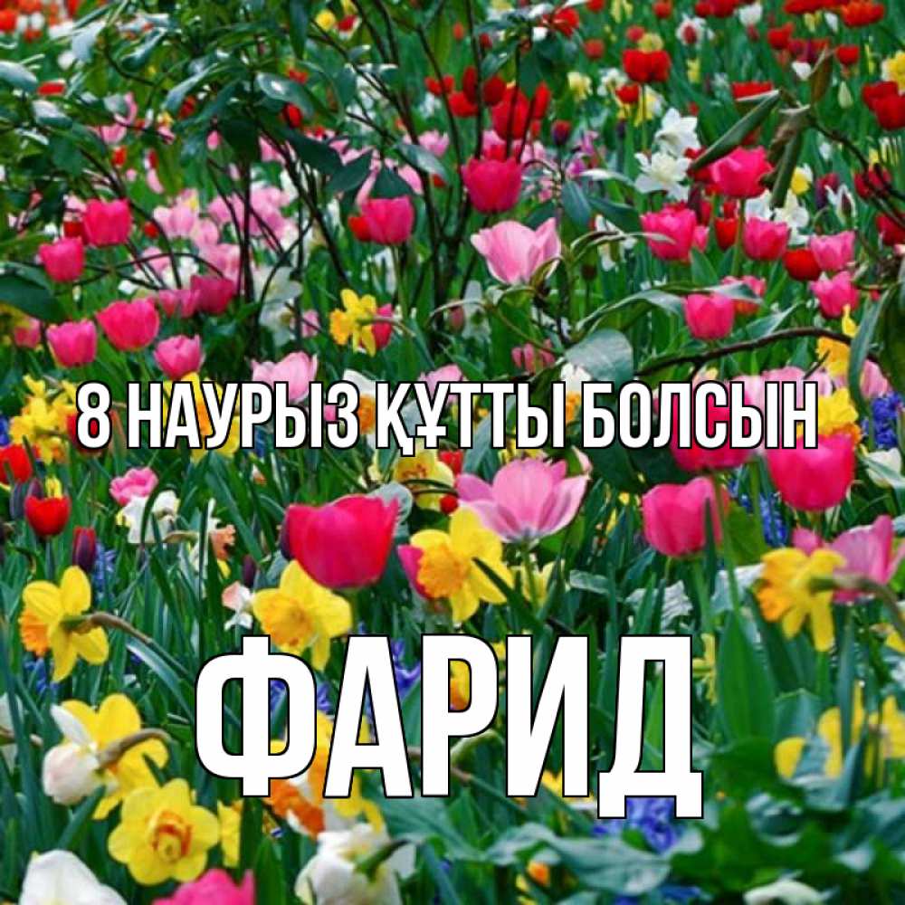 Күн сайын ашық хат с именем, ФАРИД 8 наурыз құтты болсын с международным женским днем поздравления для женщины Онлайн тегін жүктеп алу тілектері бар керемет карта 