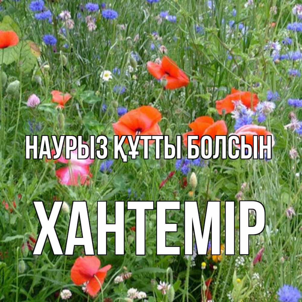 Күн сайын ашық хат с именем, ХАНТЕМІР Наурыз құтты болсын наурыз  4 Онлайн тегін жүктеп алу тілектері бар керемет карта 