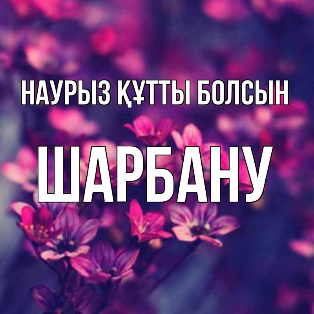 Күн сайын ашық хат с именем, ШАРБАНУ Наурыз құтты болсын небольшие цветы 1 Онлайн тегін жүктеп алу тілектері бар керемет карта 
