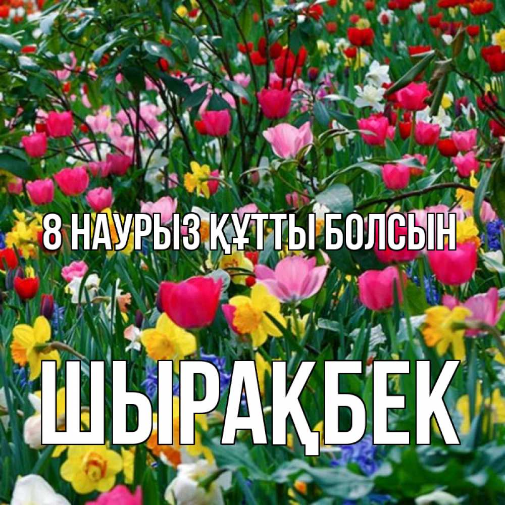 Күн сайын ашық хат с именем, ШЫРАҚБЕК 8 наурыз құтты болсын с международным женским днем поздравления для женщины Онлайн тегін жүктеп алу тілектері бар керемет карта 
