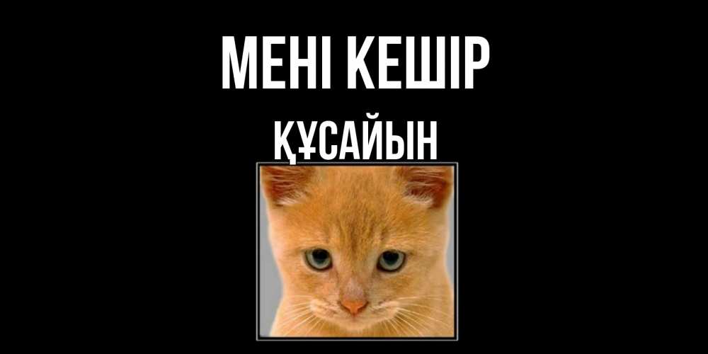 Күн сайын ашық хат с именем, ҚҰСАЙЫН Мені кешір рыжий грустный кот просит прощения Онлайн тегін жүктеп алу тілектері бар керемет карта 