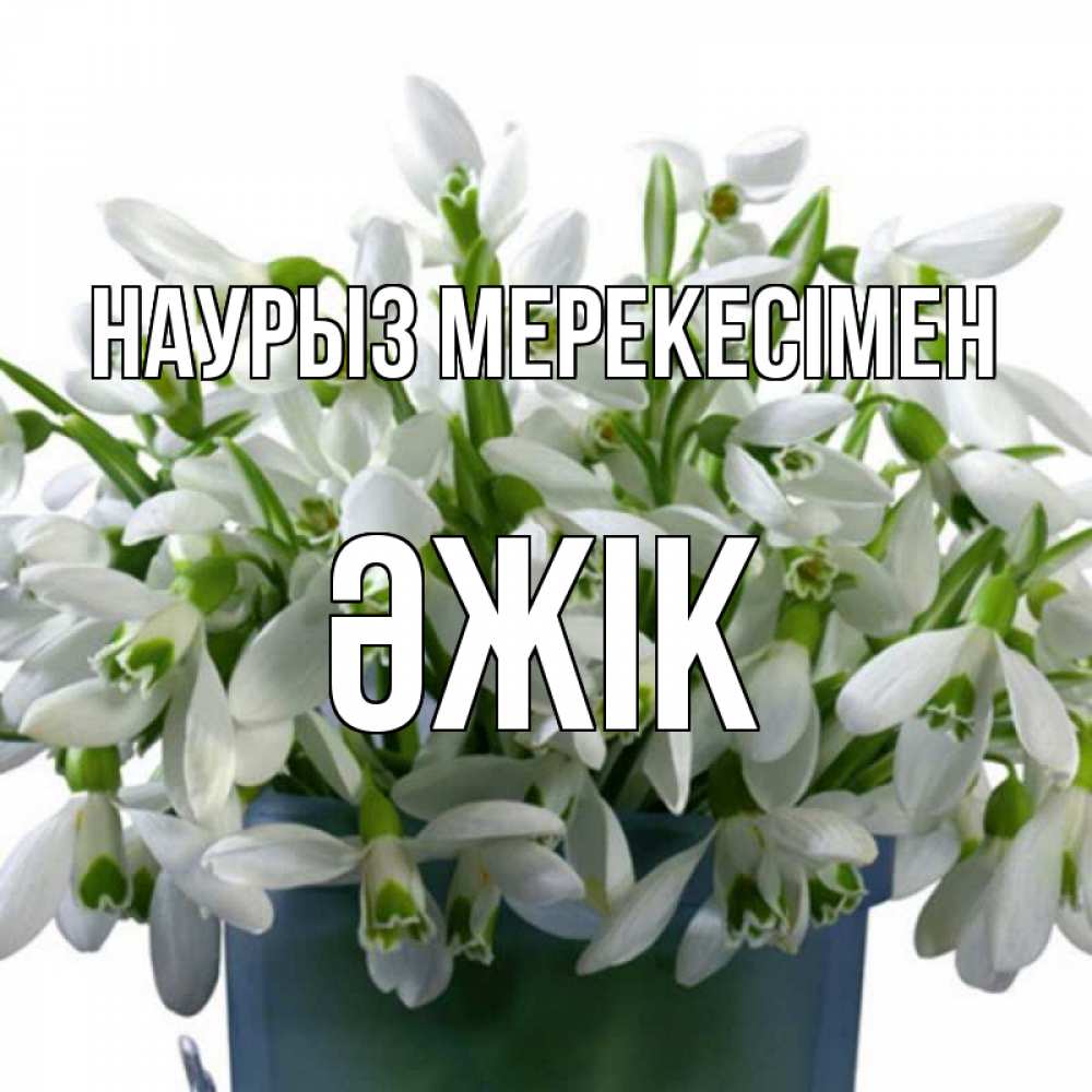 Күн сайын ашық хат с именем, Әжік Наурыз мерекесімен цветы к наурызу новый год в Казахстане Онлайн тегін жүктеп алу тілектері бар керемет карта 