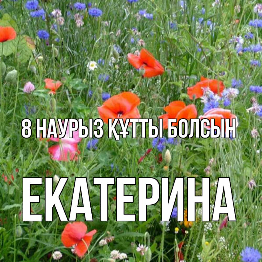 Күн сайын ашық хат с именем, Екатерина 8 наурыз құтты болсын международный женский день 4 Онлайн тегін жүктеп алу тілектері бар керемет карта 